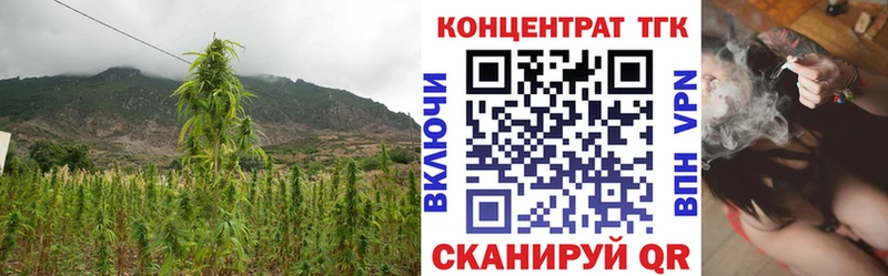 Купить где  Асбест  Дистиллят ТГК вейп 